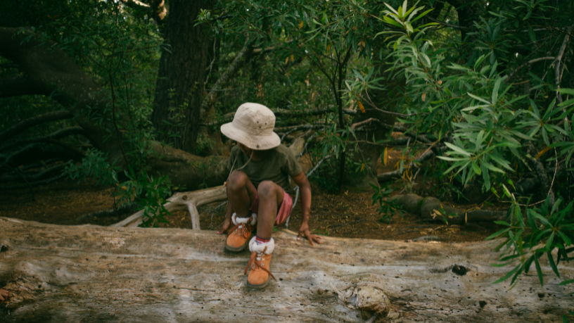 Futuro Verde: Para Lina Rosa Gomes Vieira da Silva, a arte e a ecologia caminham juntas na educação.